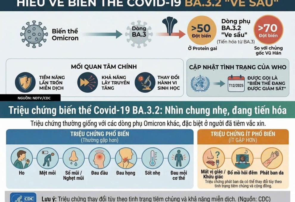 HÌNH ẢNH MINH HOẠ