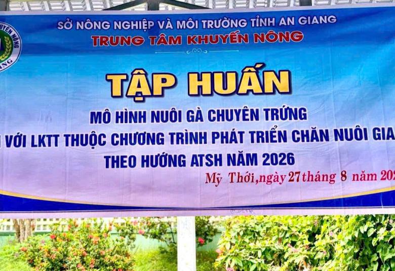 Hình ảnh minh họa