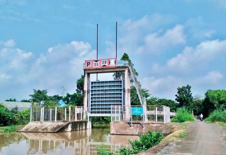 Hình ảnh minh họa