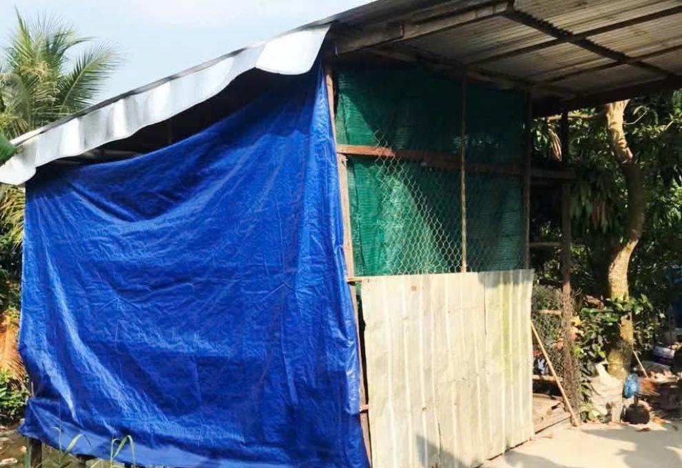 Hình ảnh minh họa