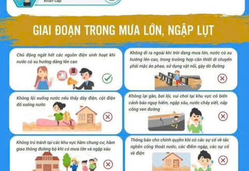 Hình ảnh minh họa