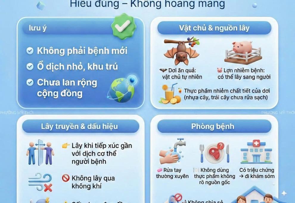 HÌNH ẢNH MINH HOẠ