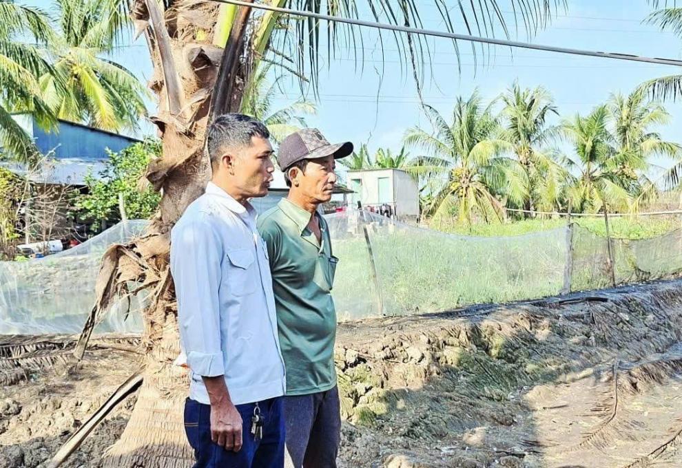 HÌNH ẢNH MINH HOẠ