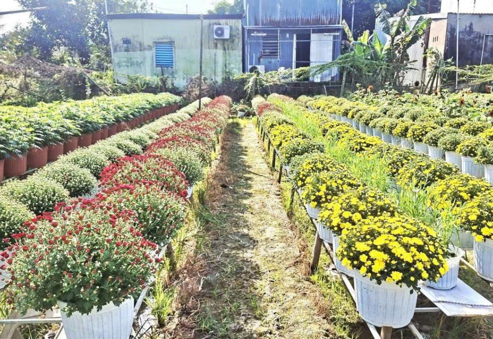 HÌNH ẢNH MINH HOẠ