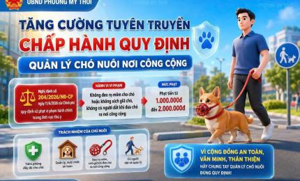 Hình ảnh minh họa