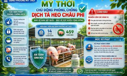 Hình ảnh minh họa