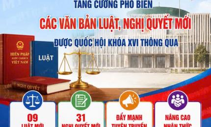 Hình ảnh minh họa