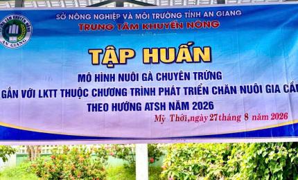 Hình ảnh minh họa