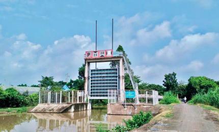Hình ảnh minh họa