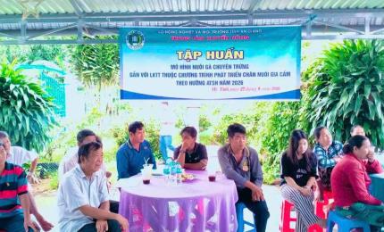 Hình ảnh minh họa