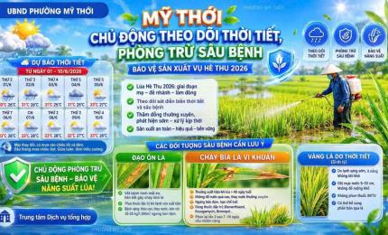 Hình ảnh minh họa