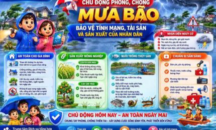 Hình ảnh minh họa