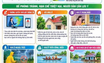 Hình ảnh minh họa