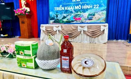 Hình ảnh minh họa