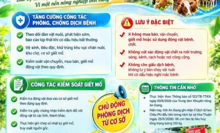Hình ảnh minh họa