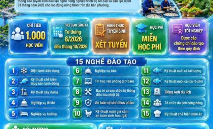 Hình ảnh minh họa