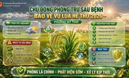 Hình ảnh minh họa