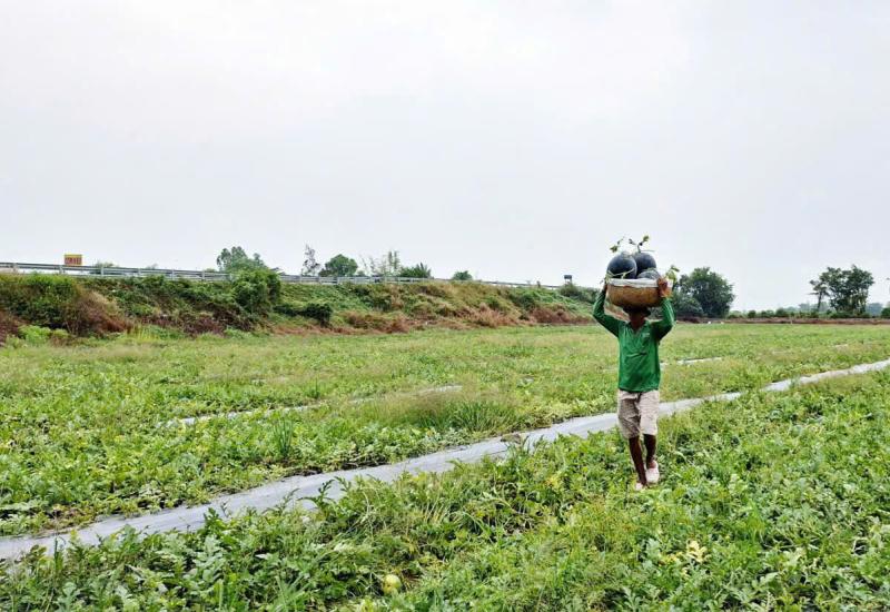 HÌNH ẢNH MINH HOẠ