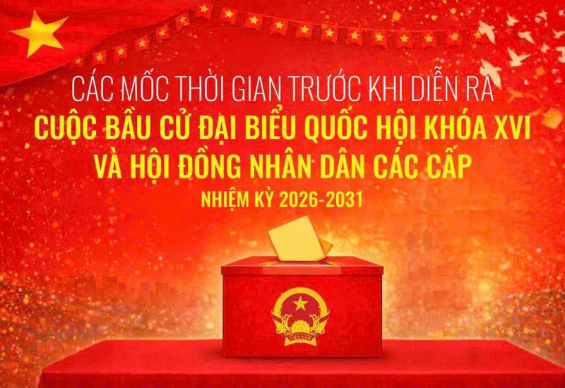 HÌNH ẢNH MINH HOẠ