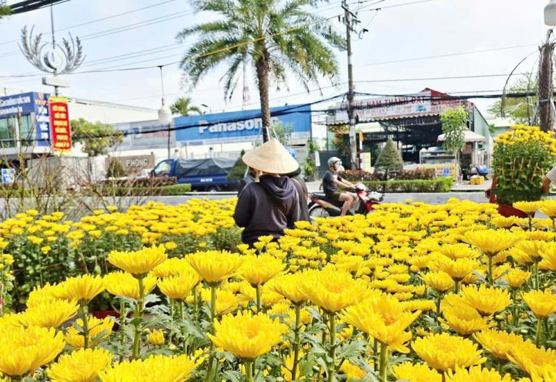 HÌNH ẢNH MINH HOẠ