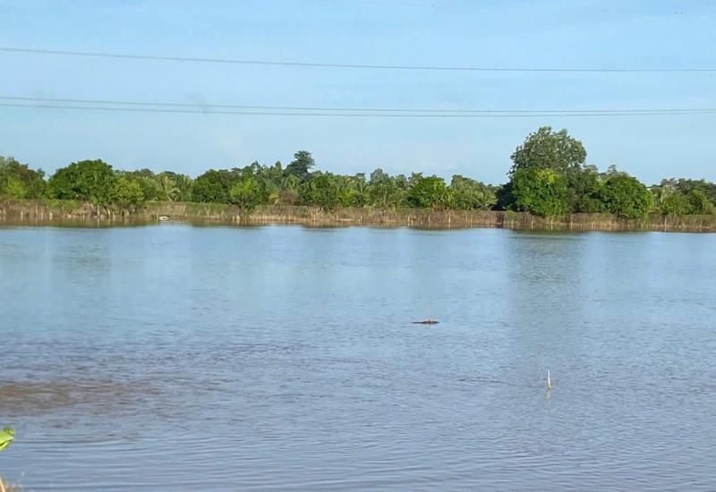 Hình ảnh minh họa