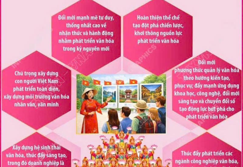 HÌNH ẢNH MINH HOẠ