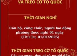Hình ảnh minh họa