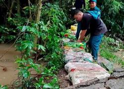 Hình ảnh minh họa